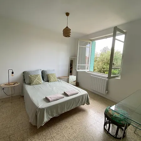 La Au Palmier - 10ch, 2sdb, Toit Terrasse Vila *
