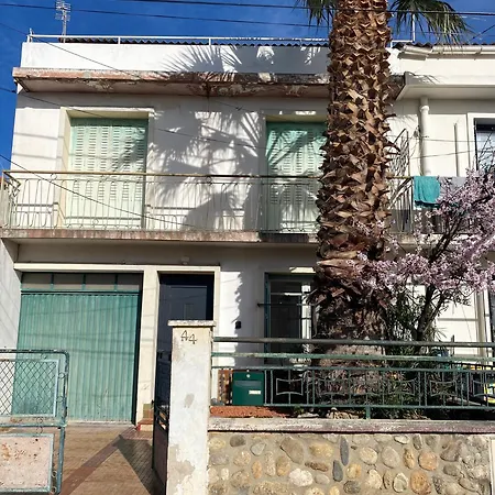 Vila La Au Palmier - 10ch, 2sdb, Toit Terrasse Perpignan